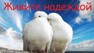 Годовщина свадьбы родителей 39 ЛЕТ