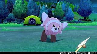 Stufful In Camp - Pokemon Sword & Shield