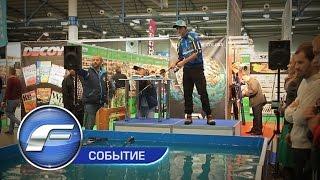 Flagman на ActiveExpo Fest 2016