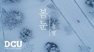 DCU 대구가톨릭대학교 '봄눈' 하늘에서 바라본 캠퍼스 겨울 항공 영상  Daegu Catholic University