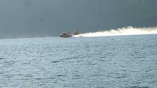 Large Water Bomber at Gun Lake