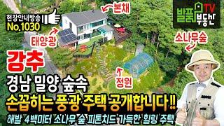 (강추) 손꼽히는 풍광을 가진 주택 !! 경남 밀양 전원주택 해발 4백미터 소나무 숲 피톤치드 새소리 가득 청정지역 밀양부동산 - 발품부동산TV KOREA HOUSE TOUR