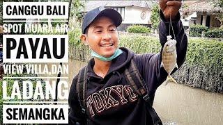 mancing di Canggu,pererenan,bali ,spot ladang semangka air payau,muara, ikannya baby gt dan predator