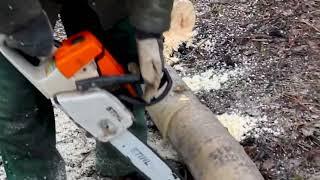 STIHL MS 260 TEST