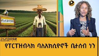 ኢንቨስተርስ ኮርነር | ከፐርፐዝብላክ ባለአክሲዮን ጋር የተደረገ ቆይታ።