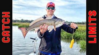 Limited Out on Redfish- Low Country Fishing - Savannah GA