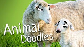 Animal Doodles Compilation 01 by Ricky Doodles