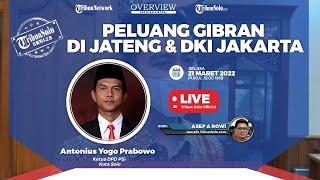 TRIBUN SOLO SERIES: Peluang Gibran di DKI Jakarta & Jateng