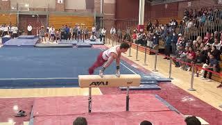 Brody Malone Pommel Horse - Air Force/Cal 220305