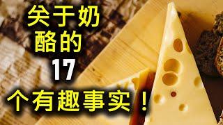 关于奶酪的 17 个有趣事实！