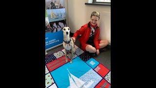 A Day with Louie the whippet, Therapy Dog at work at CatZero