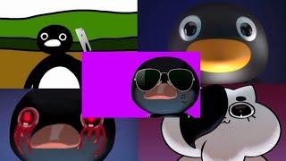 Best 5 Pingu Noot Noot Meme Part 7