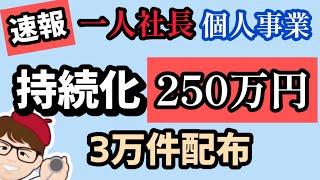 【速報】持続化補助金２５０万円３万件・一人社長・個人事業主・1人親方小規模事業者持続的発展支援事業・ものづくり補助金・事業承継・M&A支援【中小企業診断士・行政書士 マキノヤ先生】第2009回