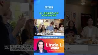 BC 省各党领导人在竞选中做出重大承诺