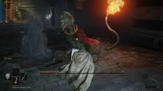Elden Ring - Erdtree Burial Watchdog - Boss fight