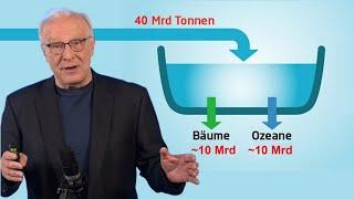 Summary Sink Model | Limits of Knowledge