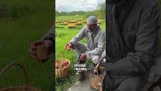 Лучшее топливо.
