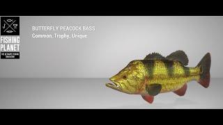 Fishing Planet - Maku-Maku Lake - Unique - Butterfly Peacock Bass - Spin