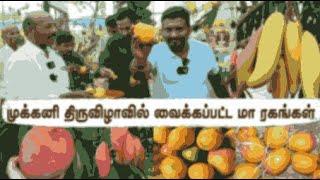 முக்கனி திருவிழா'24 சிறப்பு பார்வை | Fruit Trilogy Fest 2024: Highlights with Our Customers!