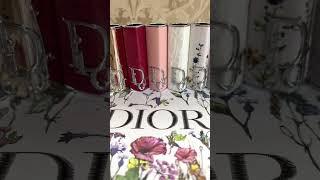BEAUTIFUL Dior Addict Lip Cases