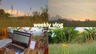  weekly vlog | studying, philippine countryside, going to work | aesthetic vlog | ghibli inspired