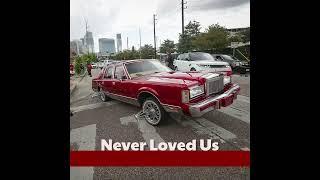 [FREE] Z-Ro x Slim Thug Type Beat “ Never Loved Us” | Down South Type Beat