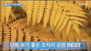 [소리뉴스] 11월 첫째주 애틀랜타 주요 소식