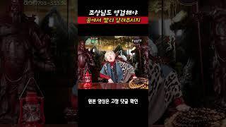 무진장TV – [호산 심보배] 조상님도 똑똑해야 빨리 꿈에서 알려주시지!! #shorts