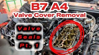 Bolt-by-Bolt Tutorial, Valve Seals (Part 1) | Audi B7 A4