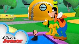 Pluto's New Friend  | Mickey Mornings | Mickey Mouse Clubhouse | Disney Junior