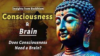 Does Consciousness Need a Brain? Insights from Buddhism