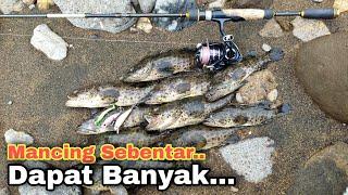 Pantai Semarang Spot Mancing Spesial di Pantai Utara Jawa tengah || Dapet Gede Cuma Di bawah kaki