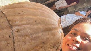 De aventuras con Jaqui está en vivo