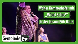 Walter Kammerhofer: Ausschnitte aus dem Programm "Wiad scho" 2024