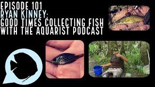 Ep. 101 - Ryan Kinney: Good Times Collecting Fish with the Aquarist Podcast