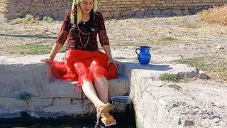 Rural Life Iran: Daily Routine and Simple Meals with Fresh Vegetables