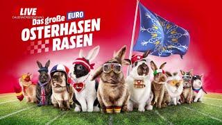 Course 3 - EURO Course de lapins de pâques | Media Markt Suisse | Française