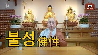 불성(佛性)