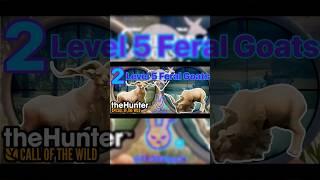 Two Level 5 Feral Goats Emerald Coast theHunter Call of the Wild. #cotw #thehuntercotw