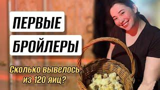Закупили 5 тонн комбикормов, достроили бройлерник, провели юбилей - события 1,5 недель!