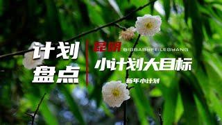 废腿|月度大盘点及新年小计划|开启2023