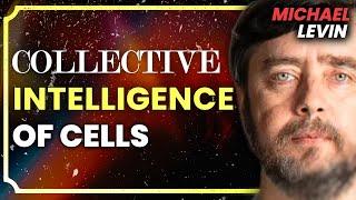 Michael Levin: Consciousness, Biology, Universal Mind, Emergence, Cancer Research