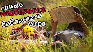 Библиотека в виде гигантской головы? Самые необычные библиотеки мира | 10  самых лучших библиотек