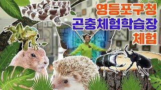 슈슈의 신기한 곤충체험학습장 리뷰 살아있는 곤충&파충류 만져보기 동물 먹이주기 체험 표본 Insect collection Lizard hamster for kidsㅣ똥꼬발랄 슈슈