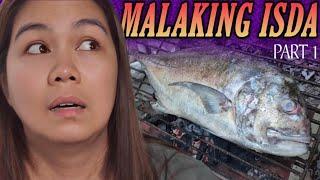 P1 - Pinagsalusaluhan ang Malaking Isda galing kay Raptor