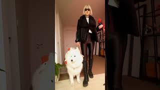 The reason why raising a Samoyed isn't that cool