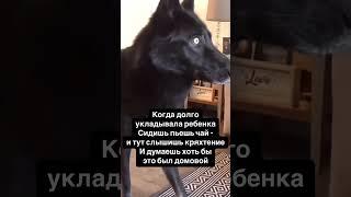 Домовенок )
