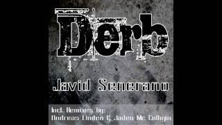 Javid Senerano - Derb (All Version Medley)