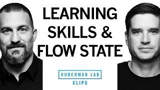 How to Practice, Build Skills & the Role of Flow State | Dr. Cal Newport & Dr. Andrew Huberman