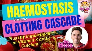 Hemostasis and the Clotting Cascade (Why Vitamin K & Calcium are important!)